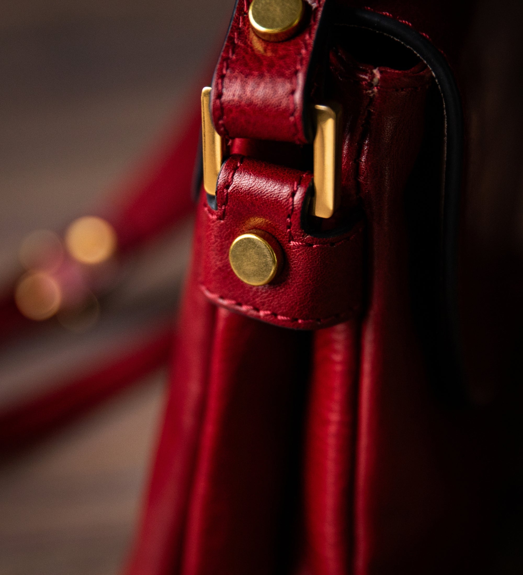 Leather Crossbody Bag for Women - Sophie's Choice